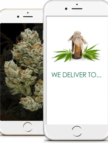 cannabis-delivery-service-2.png